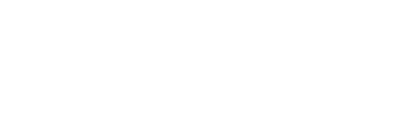 Elevation Capital Global Shares Fund Logo